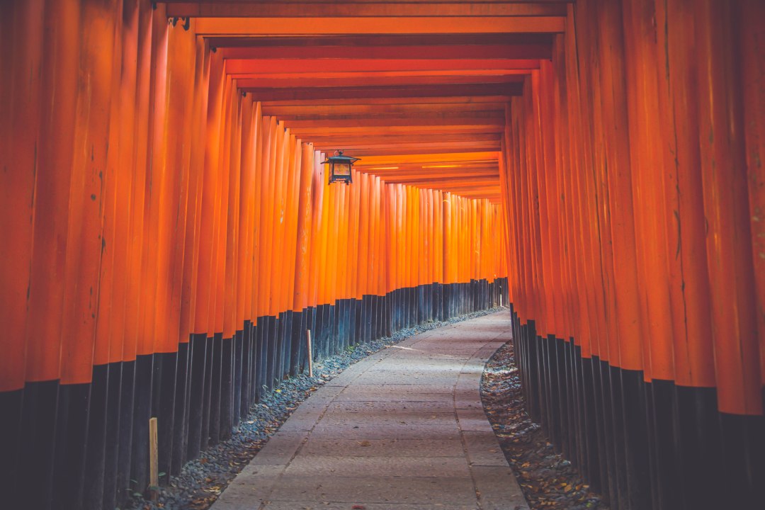 orange japan